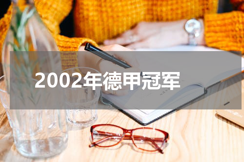 2002年德甲冠军