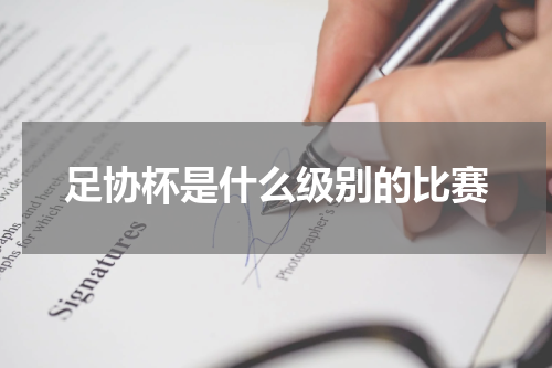 足协杯是什么级别的比赛