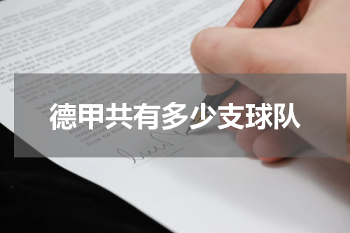 德甲共有多少支球队