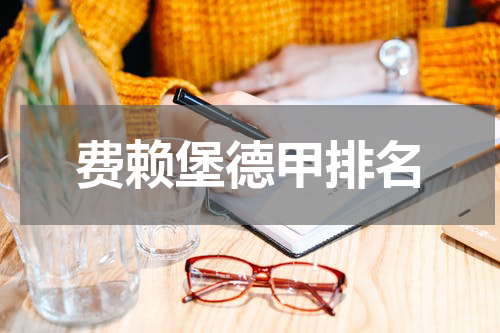 费赖堡德甲排名