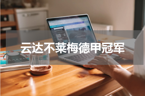 云达不莱梅德甲冠军