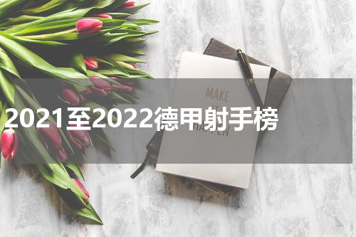 2021至2022德甲射手榜