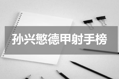 孙兴慜德甲射手榜