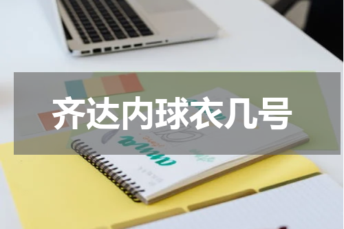 齐达内球衣几号