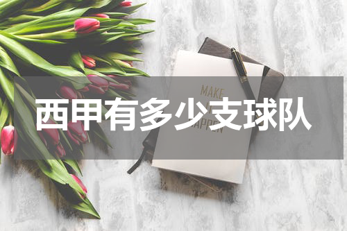 西甲有多少支球队