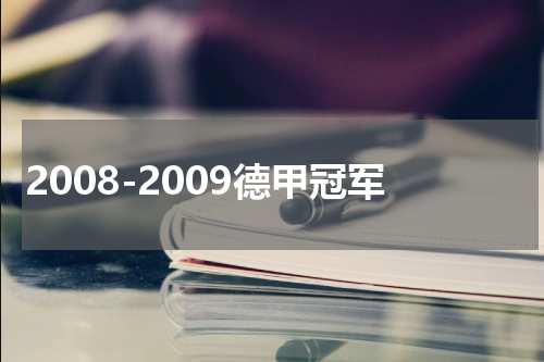 2008-2009德甲冠军