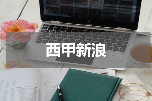 西甲新浪