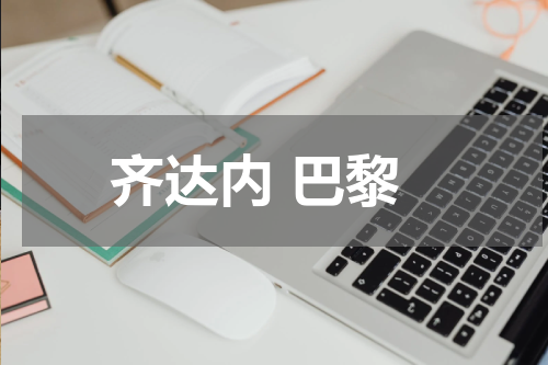 齐达内 巴黎