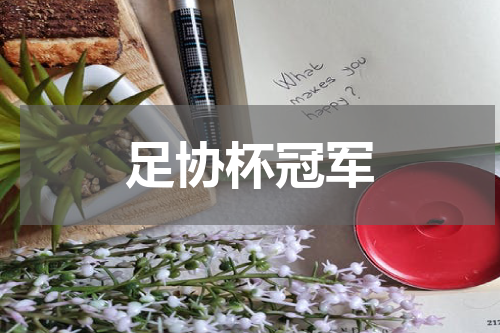 足协杯冠军