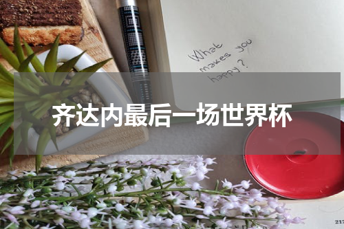 齐达内最后一场世界杯