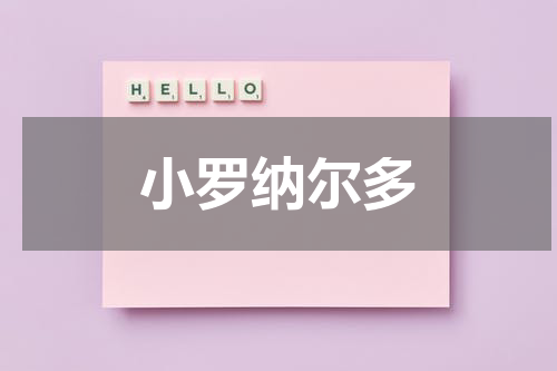 小罗纳尔多