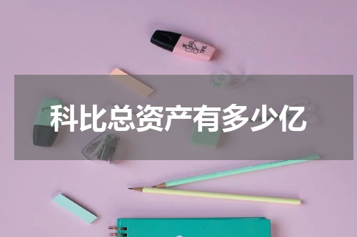 科比总资产有多少亿