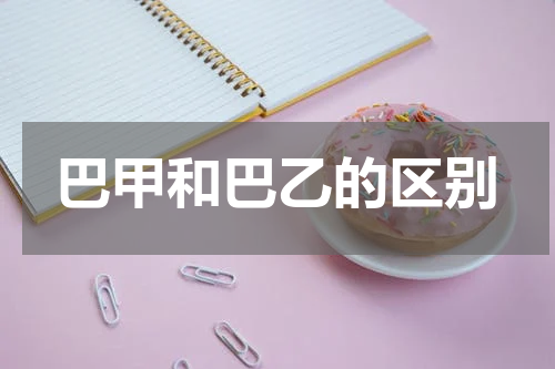 巴甲和巴乙的区别