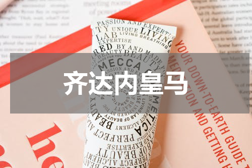 齐达内皇马