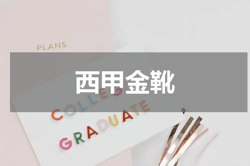 西甲金靴