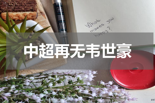 中超再无韦世豪