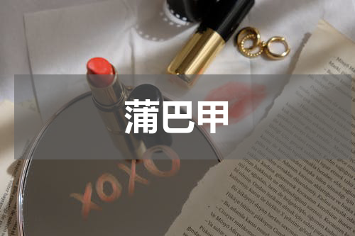 蒲巴甲