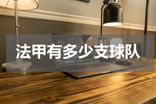 法甲有多少支球队