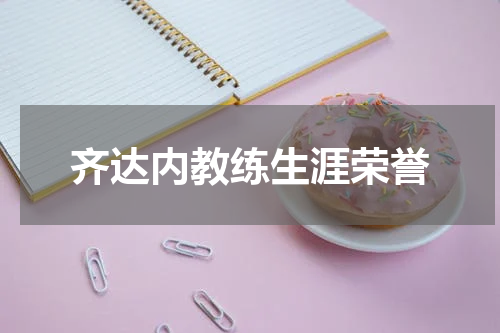 齐达内教练生涯荣誉