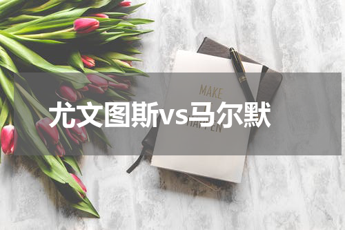 尤文图斯vs马尔默
