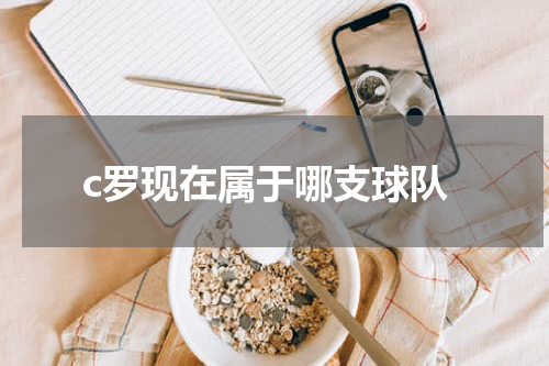 c罗现在属于哪支球队