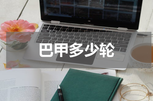 巴甲多少轮