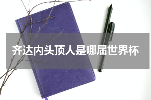 齐达内头顶人是哪届世界杯