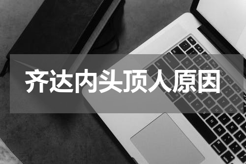 齐达内头顶人原因