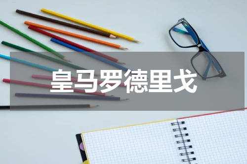 皇马罗德里戈