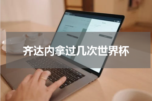 齐达内拿过几次世界杯