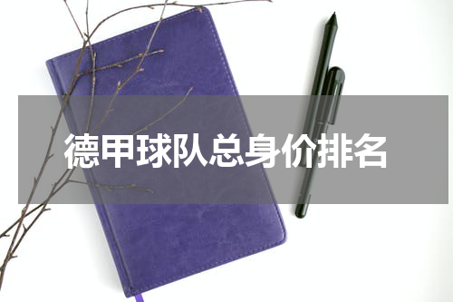 德甲球队总身价排名