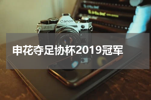 申花夺足协杯2019冠军
