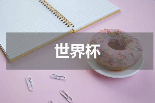 世界杯
