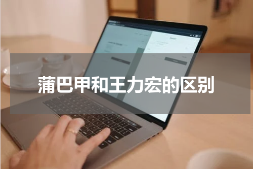 蒲巴甲和王力宏的区别