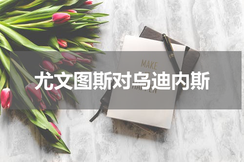 尤文图斯对乌迪内斯