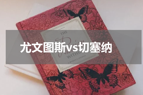 尤文图斯vs切塞纳