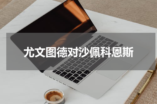 尤文图德对沙佩科恩斯