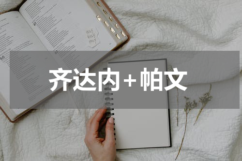 齐达内+帕文