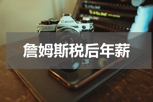 詹姆斯税后年薪