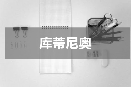 库蒂尼奥