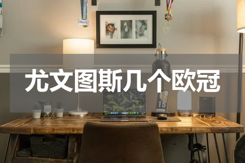 尤文图斯几个欧冠