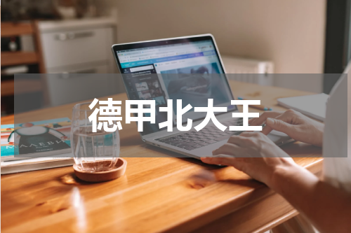 德甲北大王