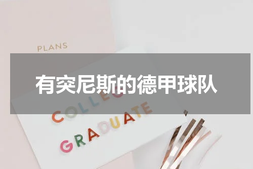 有突尼斯的德甲球队