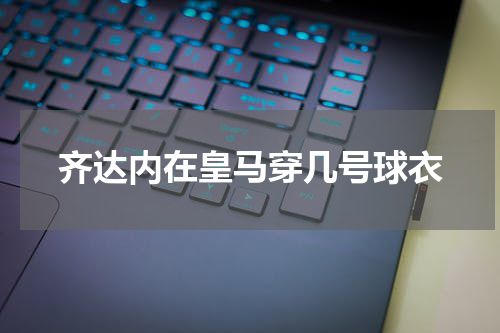 齐达内在皇马穿几号球衣