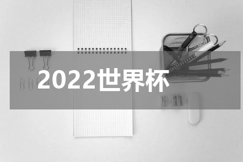 2022世界杯