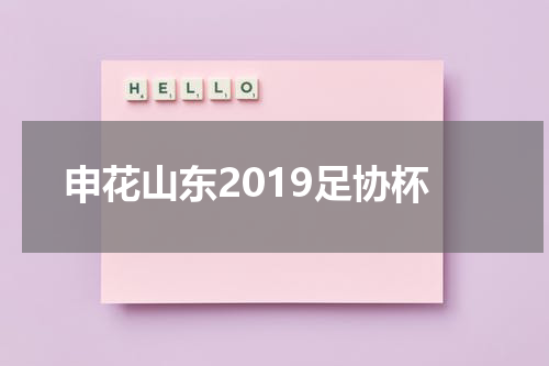 申花山东2019足协杯