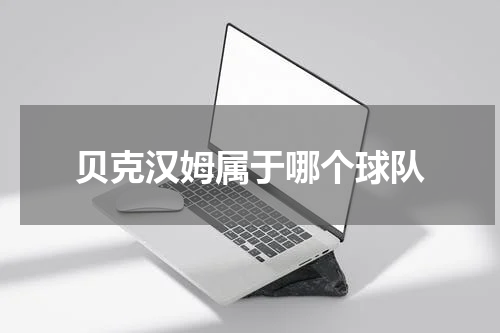 贝克汉姆属于哪个球队