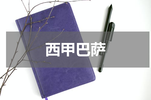西甲巴萨
