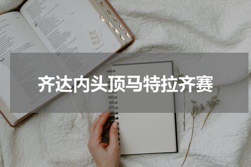 齐达内头顶马特拉齐赛