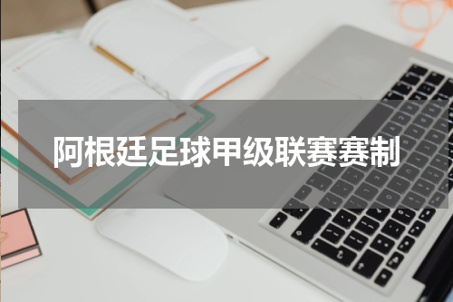 阿根廷足球甲级联赛赛制